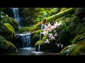 Relaxing Spa Music, Meditation Music, Nature Sounds -Relaxing Piano Music &amp; Water Sounds, Calm Music