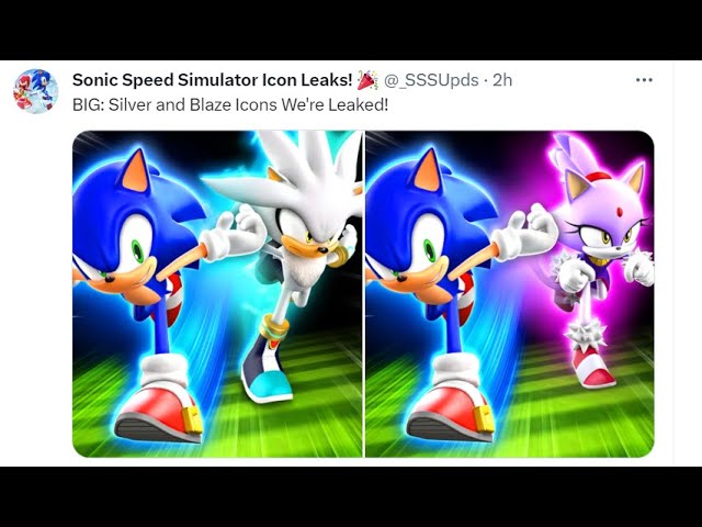 Sonic Speed Simulator Leaks on X: Here's Blaze The Cat's render for  #SonicSpeedSimulator! Apparently, she will be a quest giver!   / X