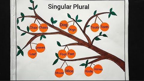 Singular And Plural Project | Singular Plural English Grammar Chart | Singular Plural TLM