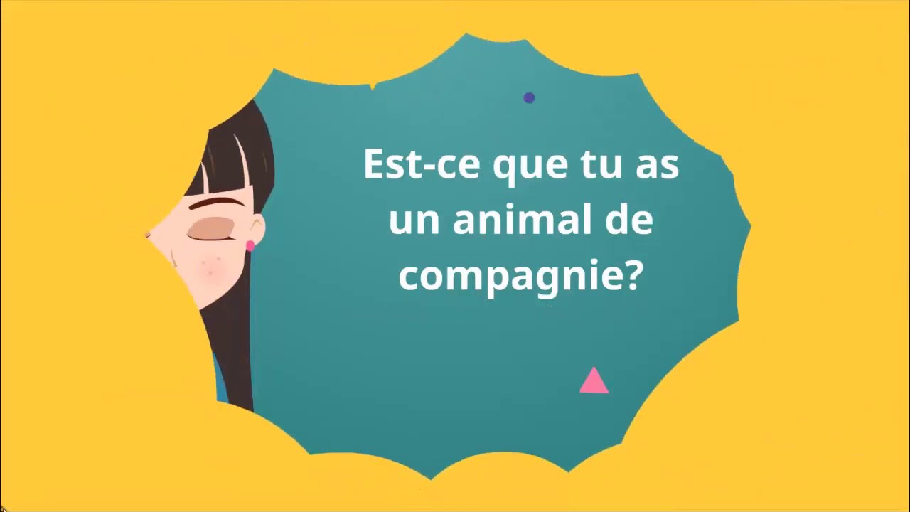 Estce que tu as un animal de compagnie? French Question Level 2 YouTube