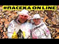 👀 СМОТРИ ПЕРВЫМ! 🛑 Нас Покусали Пчёлы 🐝 Вся Правда про Мёд 🍯 Мы на Пасеке)))