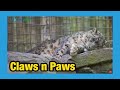 Claws n paws animal park in the poconos 2020