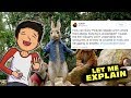 Why PETER RABBIT Is a Straight-Up Savage