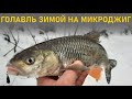 ЛОВЛЯ ГОЛАВЛЯ ЗИМОЙ. МИКРОДЖИГ