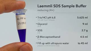 How to make Laemmli SDS sample buffer, reducing (4X) yourself | Lab Demo
