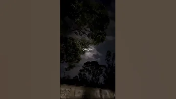 Çok Güzel الأغنية التركية اللي كسرت التيك توك ترند 2025 ÇokGüzel ترند غريبة الناس 