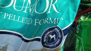 Feed run how much we spend on animals feed each month.