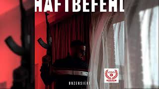 Haftbefehl - 069 [ 432Hz ]