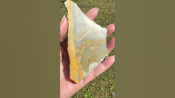 Bumblebee Jasper, Java, Indonesia #3