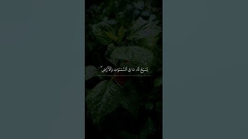 إبداع القارئ في آخر آية | سورة الحشر #خشوع_طمأنينه_راحه_للقلب #اكسبلور #قاری #قرآن #قران_كريم #مجهول