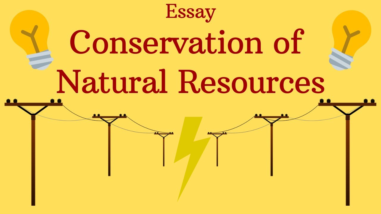 essay natural resources and their conservation