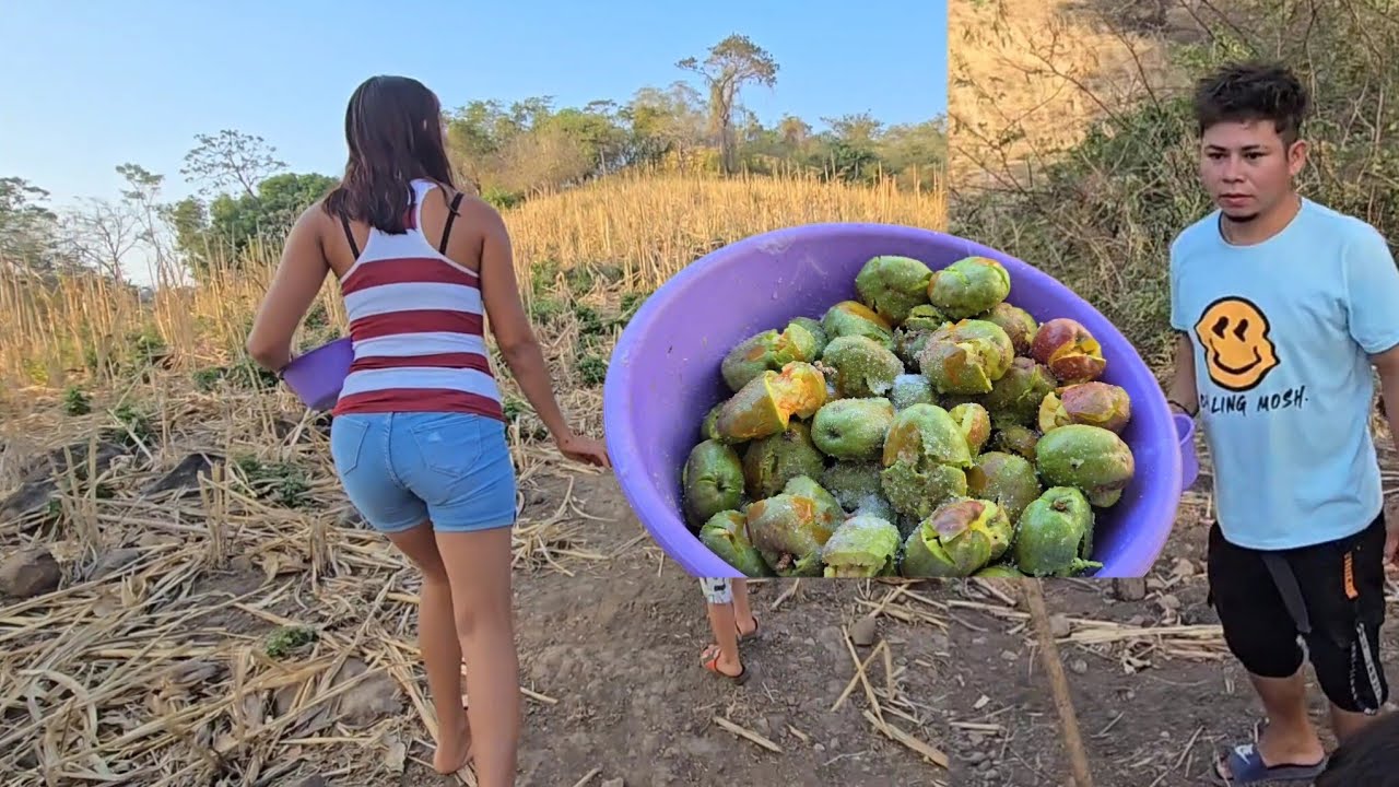 ODALIS SE FUE ALA MONTAÑA ⛰️ A BUSCAR JOCOTES CON JEFFERSON 😱