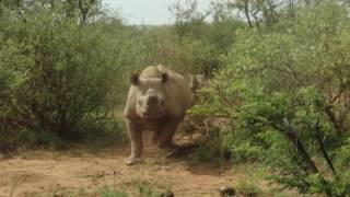 Rhino Charge Ivan Carter