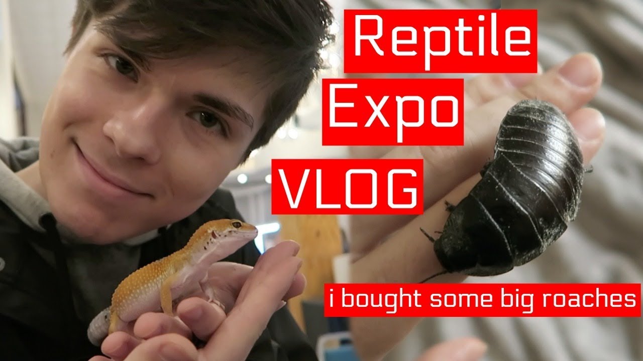 tyler rugge social blade REPTILE EXPO VLOG (I bought hissing cockroaches) | Tyler Rugge