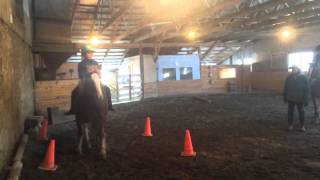 Bareback Lesson 3-5-2015 READ DESCRIPTION!!!