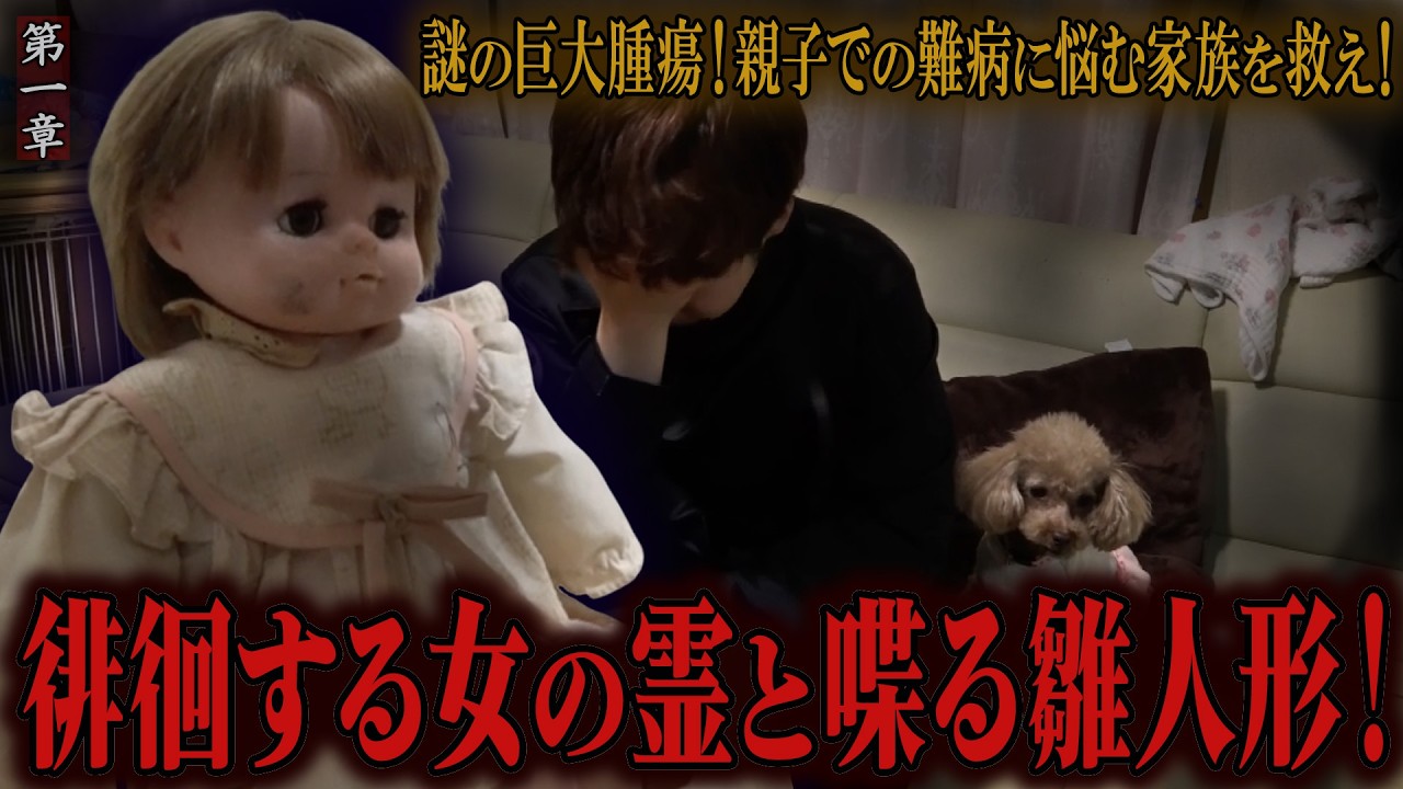 【心霊】謎の巨大腫瘍！親子での難病に悩む家族を救え！〜第一章〜 徘徊する女の霊と喋る雛人形！【陰陽師】【日本最後の陰陽師 橋本京明の弟子】