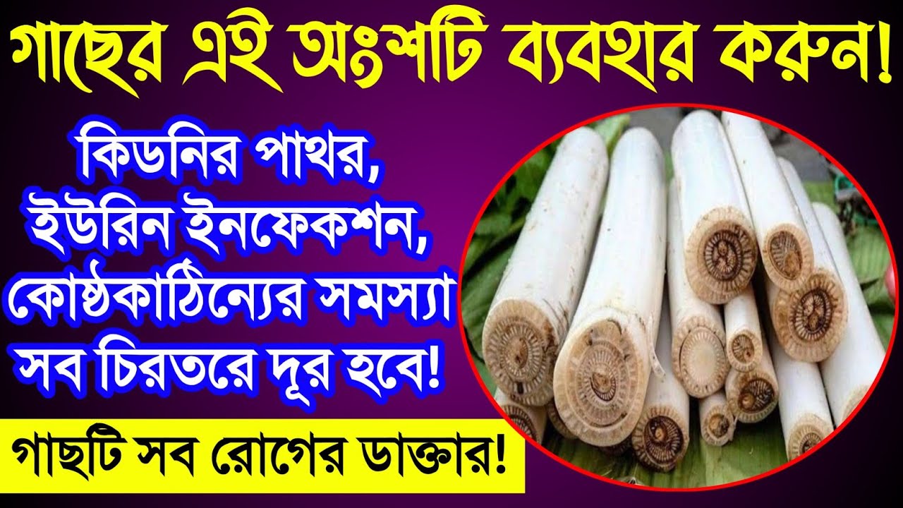 Gotsulkas ishtirokidagi onlayn porno