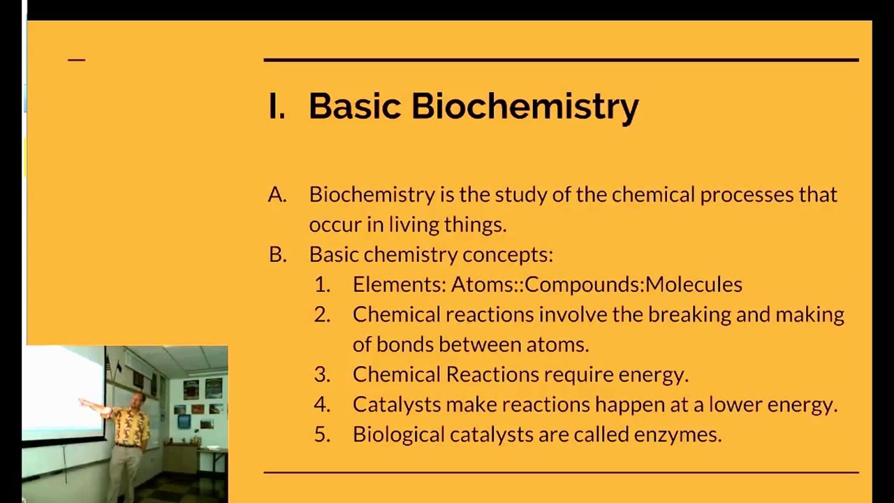 Biochemistry and the Four Biomolecules--CCCS Biology #4