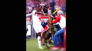 Players vs Animals + HIM