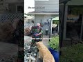 darcy reviews rental property