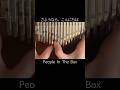 カリンバでPeople In The Boxのさようなら、こんにちはを弾きました