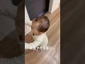 妖怪タオル落とし
