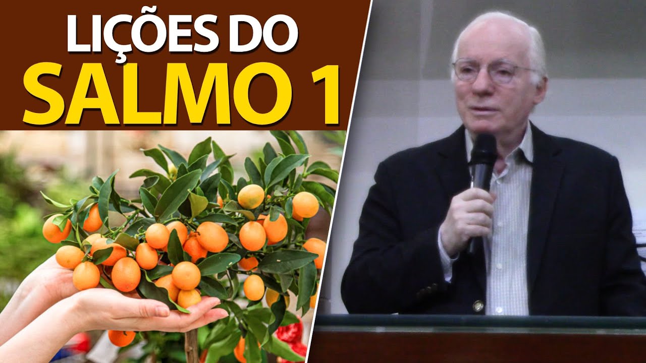 O justo e o Ímpio - Rápidas lições sobre o Salmo 1 | Pastor Paulo Seabra