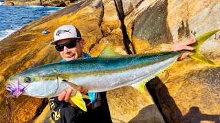 BIG Yellowtail Kingfish on fly | Solo camping on a wild and remote Island
