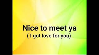 Nice To Meet Ya (Lyric Video) - Naill Horan