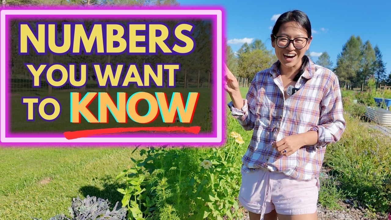 Annuals bouquet breakdown: Direct seeding flowers isn't actually cheaper