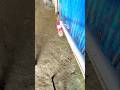 Amazing Rope Trick to Lift a Bottle 🤯 | Simple But Genius Hack!#!#ropehack#oddlysatisfying
