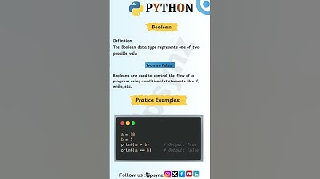 Python Boolean Explained in 30 Seconds | True & False Basics