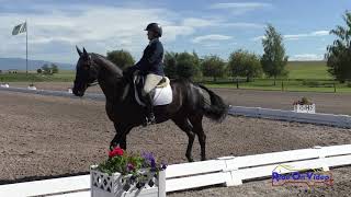 025D Mia Edsall on True Story Intermediate Dressage Rebecca Farm July 2020