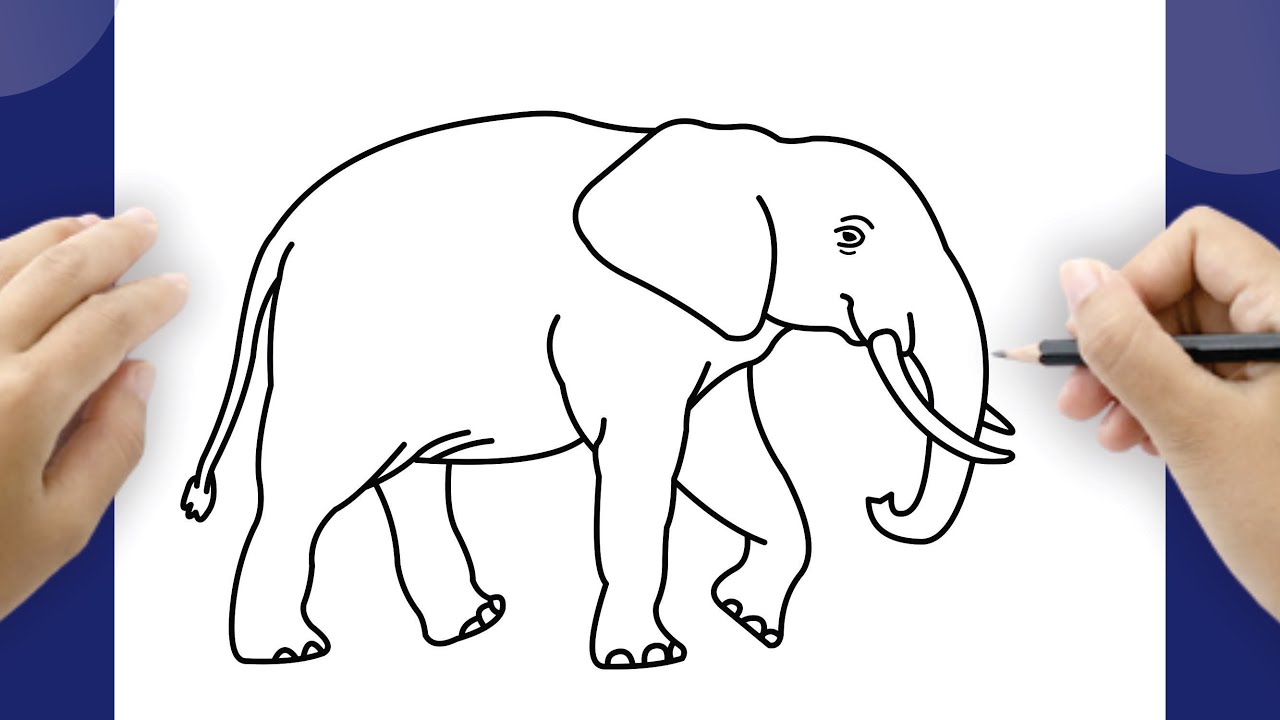 Elefant Rita Hur Man Ritar En Hel Elefant - Enkelt Steg-för-Steg Tutorial - YouTube