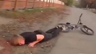 面白いいたずら   ベスト面白い動画2016は面白いが、2016おかしい犬失敗笑いしないようにしてください screenshot 1