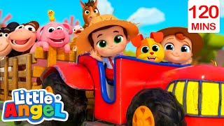 Welcome to Baby John's Farm 🐷 | Bingo and Baby John | Little Angel Nursery Rhymes and Kids Songs