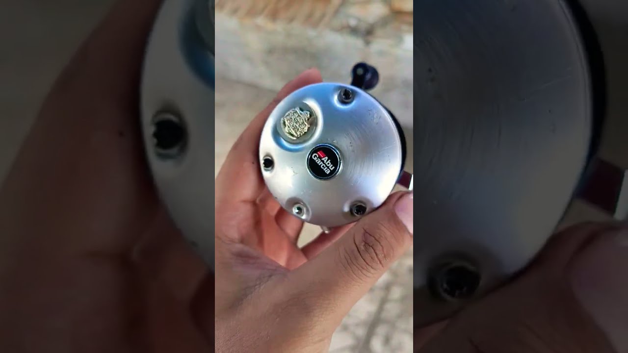 Abu Garcia Ambassadeur 5500 C3
