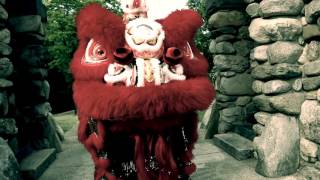 Imperial Lion Dance Promo 2016