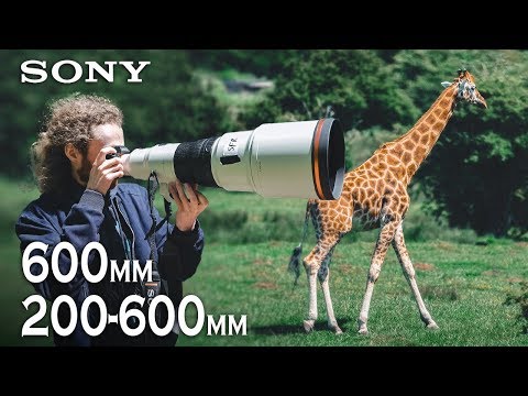 NOUVEAUX OBJECTIFS SONY / 200-600mm et 600mm F4 GM en EXCLU