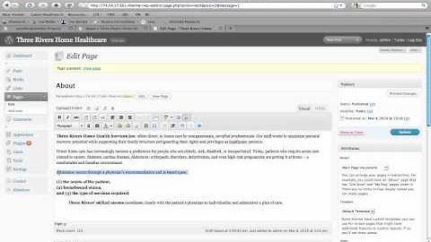 WordPress Tutorial: WP Wysiwyg Editor