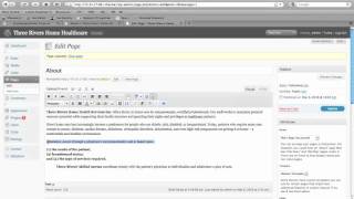 WordPress Tutorial: WP Wysiwyg Editor