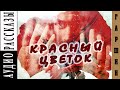 Всеволод Гаршин. Красный цветок|   🎧   Аудио рассказ