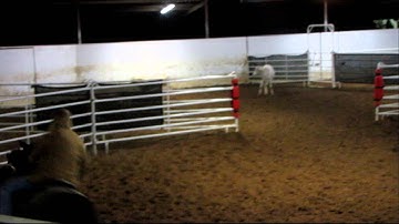 Hickory Doll Baby - 11/24/12 RSNC Show - #6 class - FINAL RUN blowout-so close! - Valley View Ranch