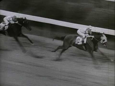 1946 kentucky derby winner