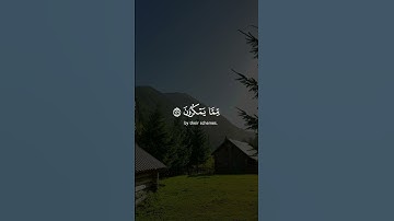 #قران_كريم #تلاوة_خاشعة #راحة_نفسية #اكسبلور_explore