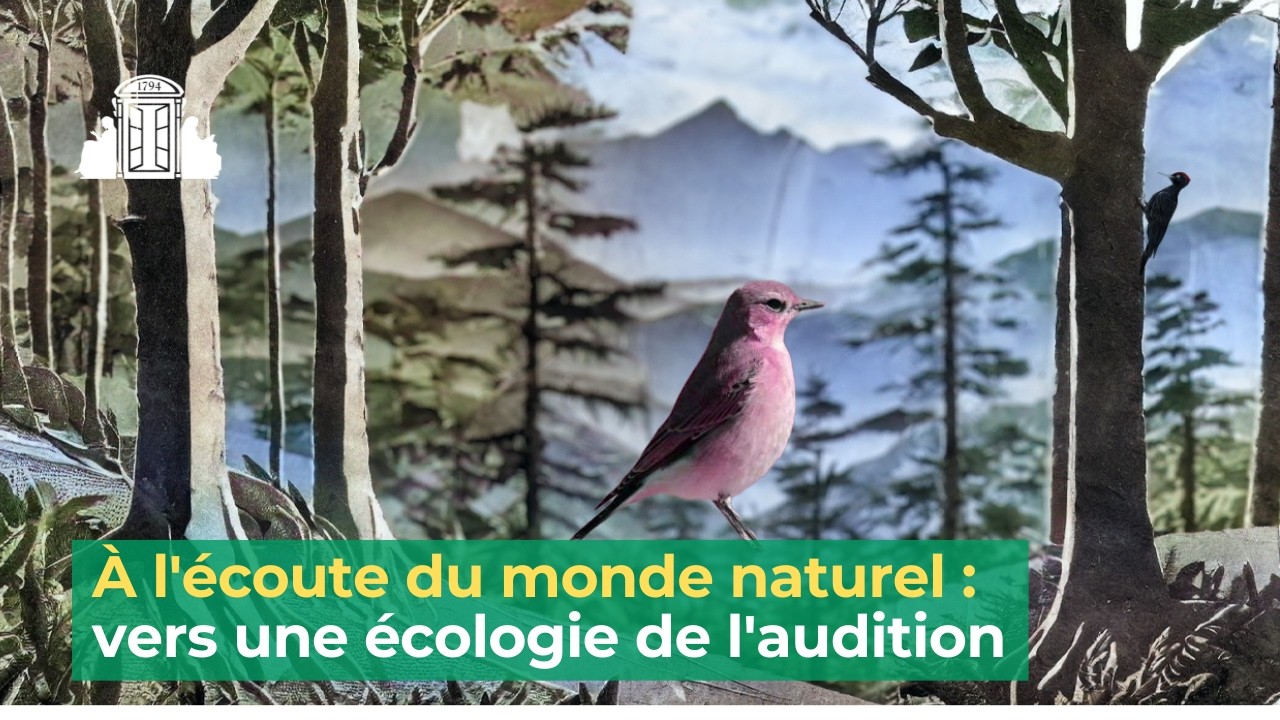 À l'écoute du monde naturel : vers une écologie de l'audition | ENS-PSL