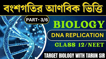 DNA Replication | molecular basis of inheritance | Class 12 Biology | NEET |