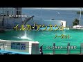 のとじま水族館イルカ・アシカショー２０１２年夏