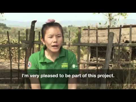 Disaster risk reduction in Laos - YouTube