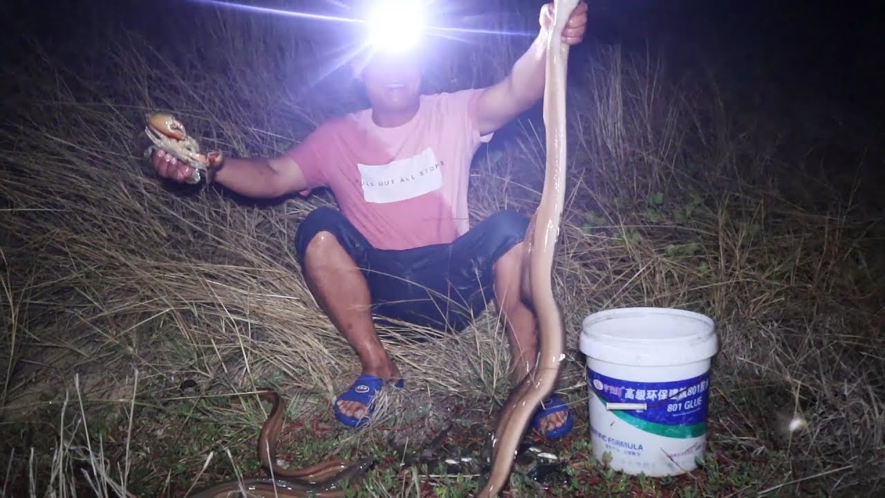 老四趁刮风给哥哥姐姐抓鱼吃，运气爆棚了，抓到几条手臂长的大货
